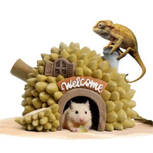 Durian Hideout ถ้ำทุเรียน Aquarium Terrarium Cave